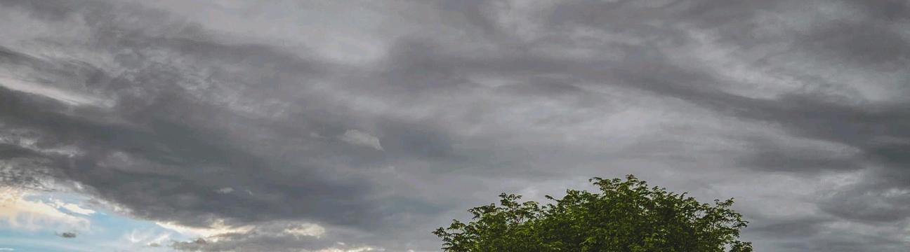 Ahasanul Sany  Badhon