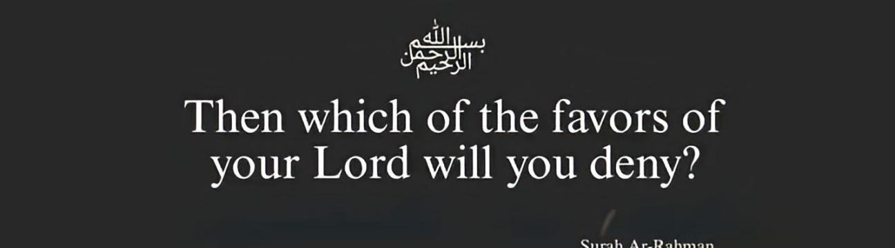 Shahadat Hasan Shihab