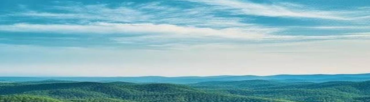 Murad Ahmmed Simanto 